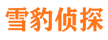 四川市侦探公司